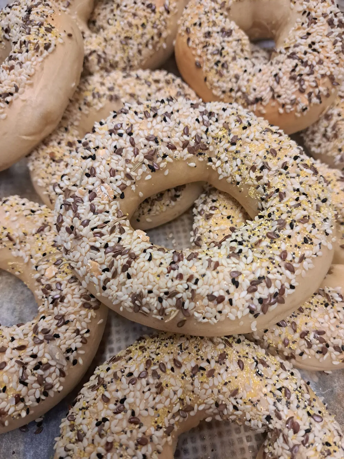Close-up of everything bagels