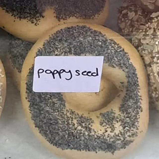 Poppy Seed bagel