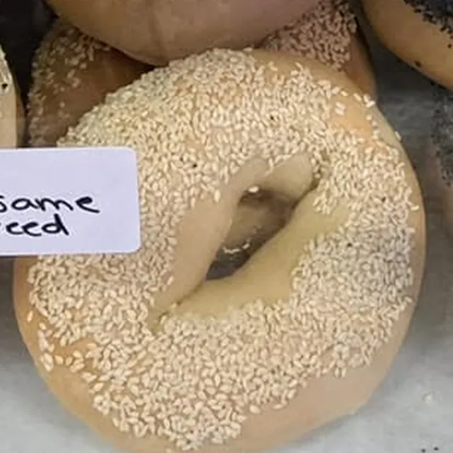 Sesame Seed bagel