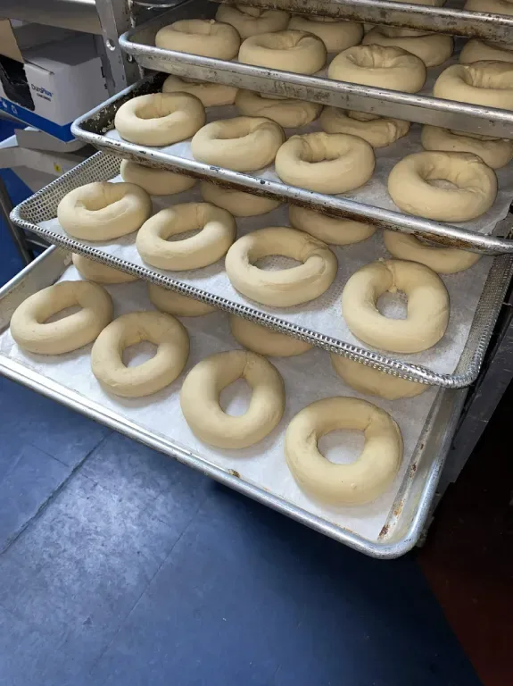 Trays of hand-rolled bagels resting before baking
